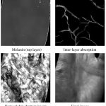 2008 SA Technical Paper: Donner_A Layered, Heterogeneous Reflectance Model
