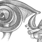2009 SA Technical Paper: Structure-Aware Error Diffusion