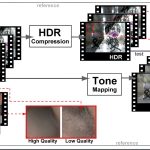 2010 SA Technical Paper: Aydin_Video quality assessment for computer graphics applications