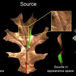 2011-SA-Technical-Paper_An_AppWarp