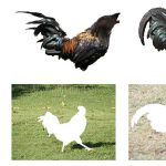 2011-SA-Technical-Paper_Chia_Semantic-Colorization-with-Internet-Images