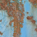 2011-SA-Technical-Paper_Dong_AppGen