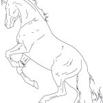 2011-SA-Technical-Paper_Fu_Animated-Construction-of-Line-Drawings