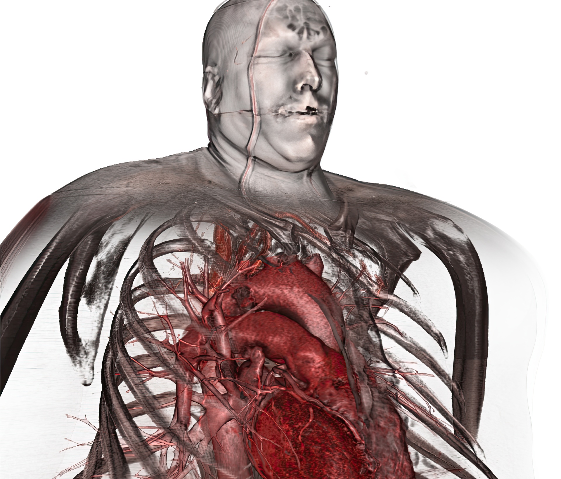 2011-SA-Technical-Paper_Hsu_A-Rendering-Framework-for-Multiscale-Views-ofD-Models