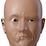 2011-SA-Technical-Paper_Seol_Artist-Friendly-Facial-Animation-Retargeting