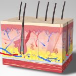 2011-SA-Technical-Paper_Wang_Multiscale-Vector-Volumes