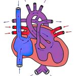 2011-SA-Technical-Paper_Zhu_Sketch-based-Dynamic-Illustration-of-Fluid-Systems