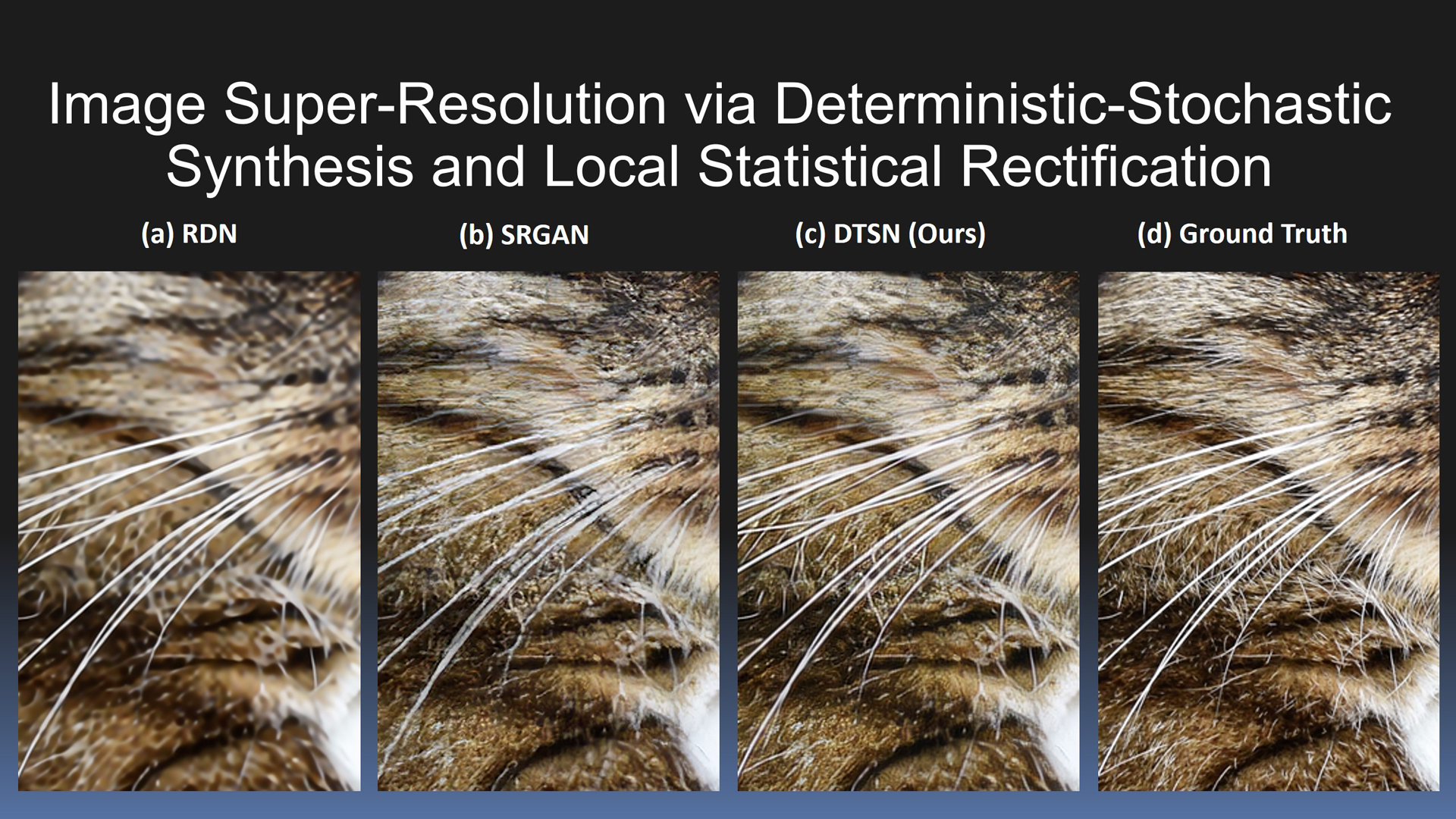 2018 SA Technical Papers_Ge_Image super-resolution via deterministic-stochastic synthesis and local statistical rectification