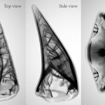 2018 SA Technical Papers_Liu_Narrow-band topology optimization on a sparsely populated grid