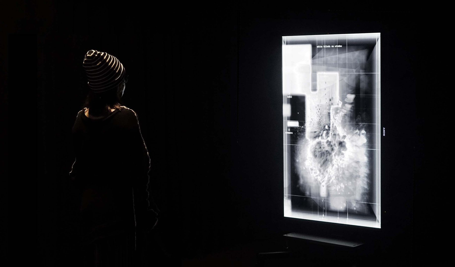 2024 SA_Art Papers_Zhang_RAY_An Interactive AI Art Experience Re-interprets Rayograph.jpg