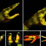 SA2024_ETech_Erel_Casper DPM