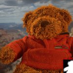 2012 SA Technical Papers_Chen_Manifold Preserving Edit Propogation