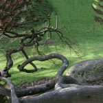 2012 SA Technical Papers_Kopf_Quality prediction for Image Completion