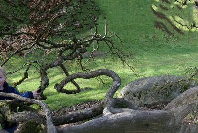 2012 SA Technical Papers_Kopf_Quality prediction for Image Completion