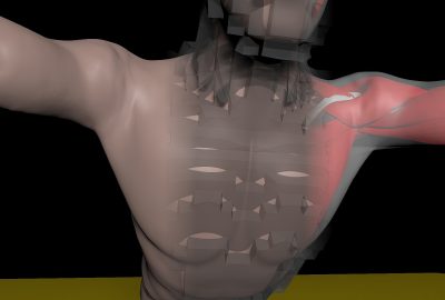 2012 SA Technical Papers_Patterson_Simulation of Complex Nonlinear Elastic Bodies using Lattice Deformers