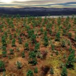 2013 SA Technical Papers_Chen_Bilateral Blue Noise Sampling