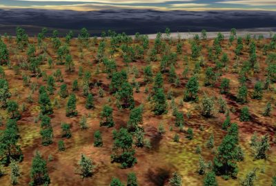 2013 SA Technical Papers_Chen_Bilateral Blue Noise Sampling