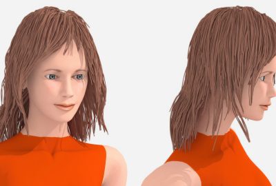 2013 SA Technical Papers_Derouet-Jourdan_Inverse Dynamic Hair Modeling with Frictional Contact