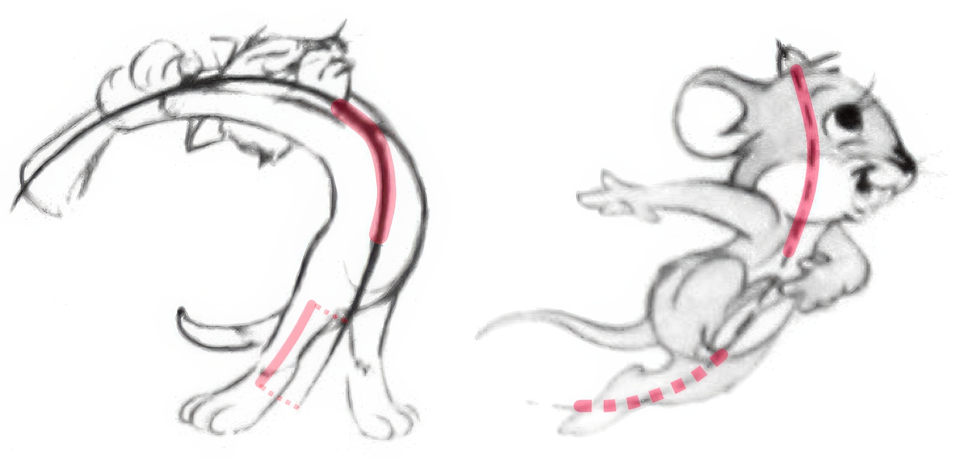 2013 SA Technical Papers_Guay_The Line of Action-an Intuitive Interface for Expressive Character Posing