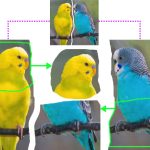 2013 SA Technical Papers_Huang_Fine-Grained Semi-Supervised Labeling of Large Shape Collections.jpg