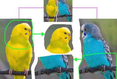 2013 SA Technical Papers_Huang_Fine-Grained Semi-Supervised Labeling of Large Shape Collections.jpg