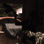 2013 SA Technical Papers_Kalantari_Patch-Based High Dynamic Range Video.jpg