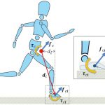 2013 SA Technical Papers_Liu_Simulation and control of skeleton-driven soft body characters