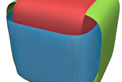 2014 SA Technical Papers Campen_Dual Strip Weaving