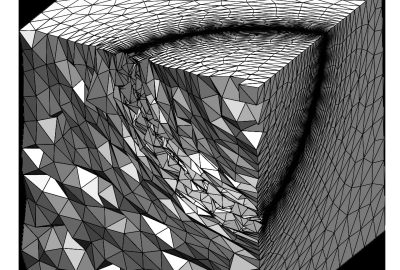2014 SA Technical Papers Fu_Anisotropic Simplicial Meshing Using Local Convex Functions