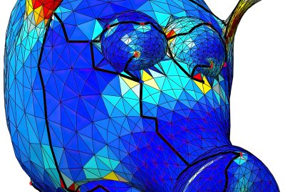 2014 SA Technical Papers Levi_Strict Minimizers For Geometric Optimization