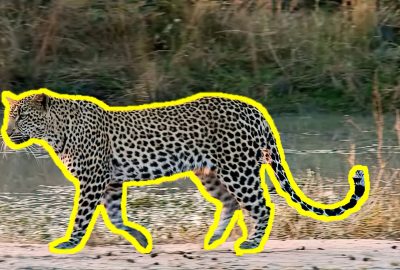 2014 SA Technical Papers Zhong_Slippage-free Background Replacement for Hand-held Video