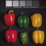 2015 SA Technical Papers_Kauvar_Adaptive Color Display via Perceptually-driven Factored Spectral Projection