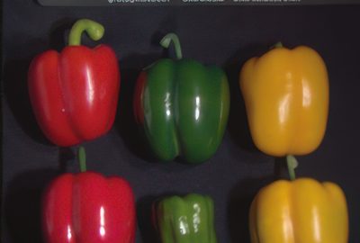 2015 SA Technical Papers_Kauvar_Adaptive Color Display via Perceptually-driven Factored Spectral Projection