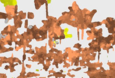 2015 SA Technical Papers_Liao_Fast Computation of Seamless Video Loops