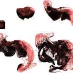 2015 SA Technical Papers_Liu_Model-Reduced Variational Fluid Simulation