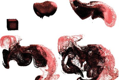 2015 SA Technical Papers_Liu_Model-Reduced Variational Fluid Simulation