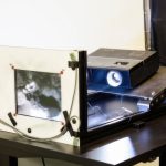 2015 SA Technical Papers_Vangorp_A Model of Local Adaptation