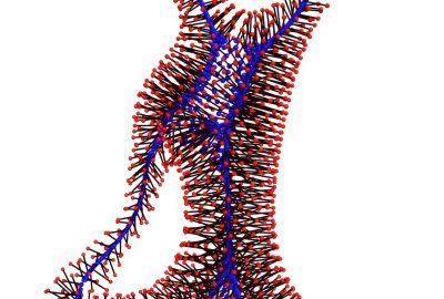 2015 SA Technical Papers_Wu_Deep Points Consolidation