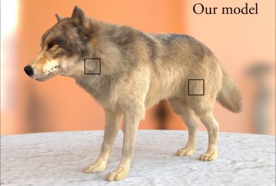 2015 SA Technical Papers_Yan_Physically-Accurate Fur Reflectance-Modeling, Measurement and Rendering