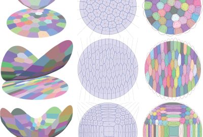 2016 SA Technical Papers_Budninskiy_Optimal Voronoi Tessellations with Hessian-based Anisotropy