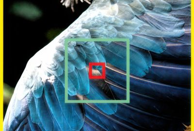 2016 SA Technical Papers_Chen_Bilateral Guided Upsampling