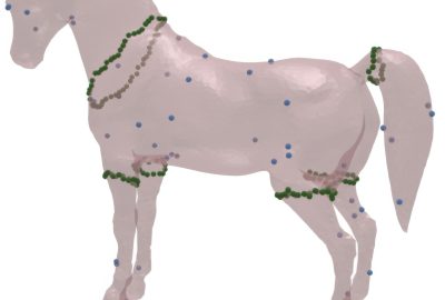 2016 SA Technical Papers_Duncan_Interchangeable Components for Hands-On Assembly Based Modelling