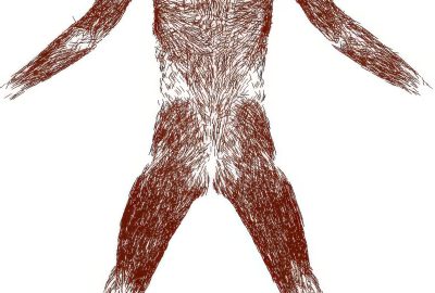 2016 SA Technical Papers_Kadleček_Reconstructing Personalized Anatomical Models for Physics-based Body Animation