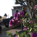 2016 SA Technical Papers_Kalantari_Learning-Based View Synthesis for Light Field Cameras