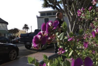 2016 SA Technical Papers_Kalantari_Learning-Based View Synthesis for Light Field Cameras