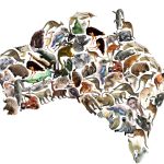 2016 SA Technical Papers_Kwan_Pyramid of Arclength Descriptor for Generating Collage of Shapes