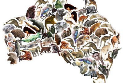 2016 SA Technical Papers_Kwan_Pyramid of Arclength Descriptor for Generating Collage of Shapes