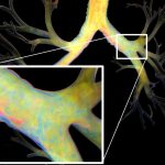 2016 SA Technical Papers_Liu_A scalable Schur-complement fluids solver for heterogeneous compute platforms