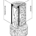 2016 SA Technical Papers_Liu_Simulating the structure and texture of solid wood
