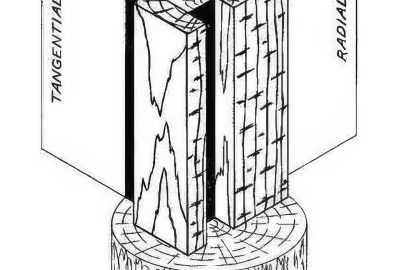 2016 SA Technical Papers_Liu_Simulating the structure and texture of solid wood